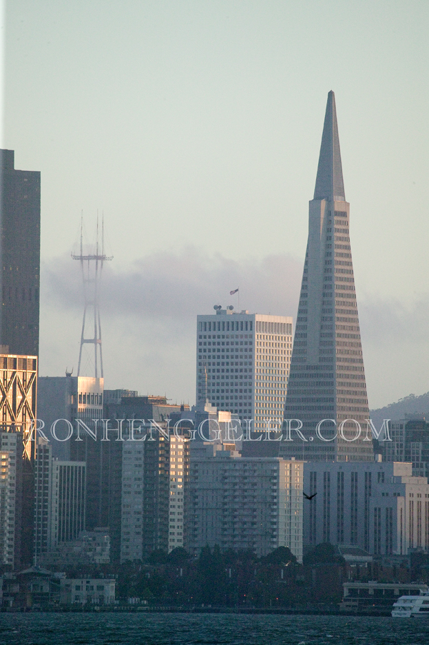 Fog rolling into San Francisco's financial district